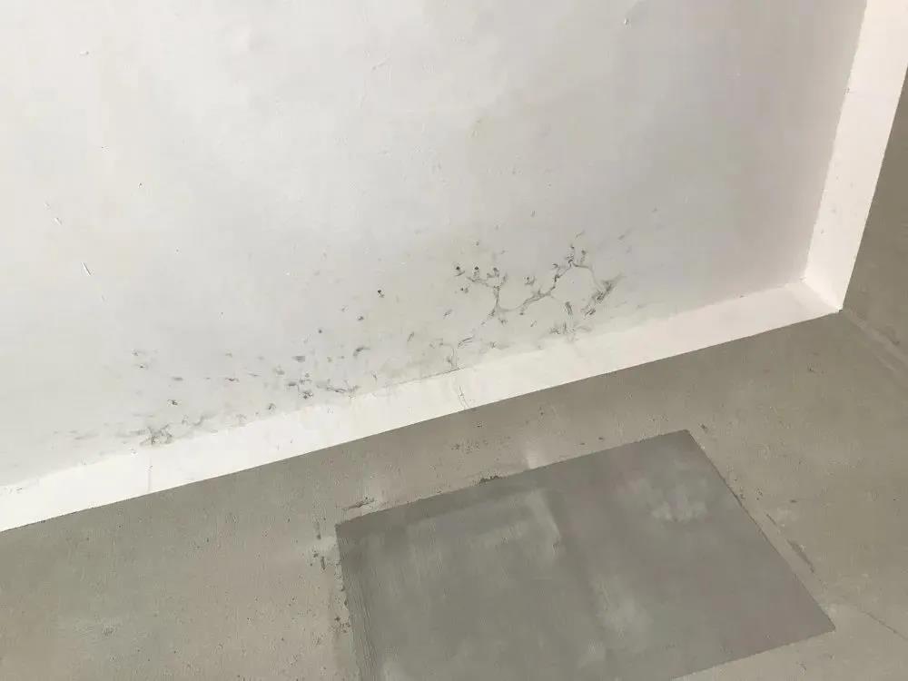 外墻外保溫這么好，不能只有我知道！